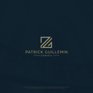 Patrick Guillemin Conseil | Logo Design by ds | designstructure