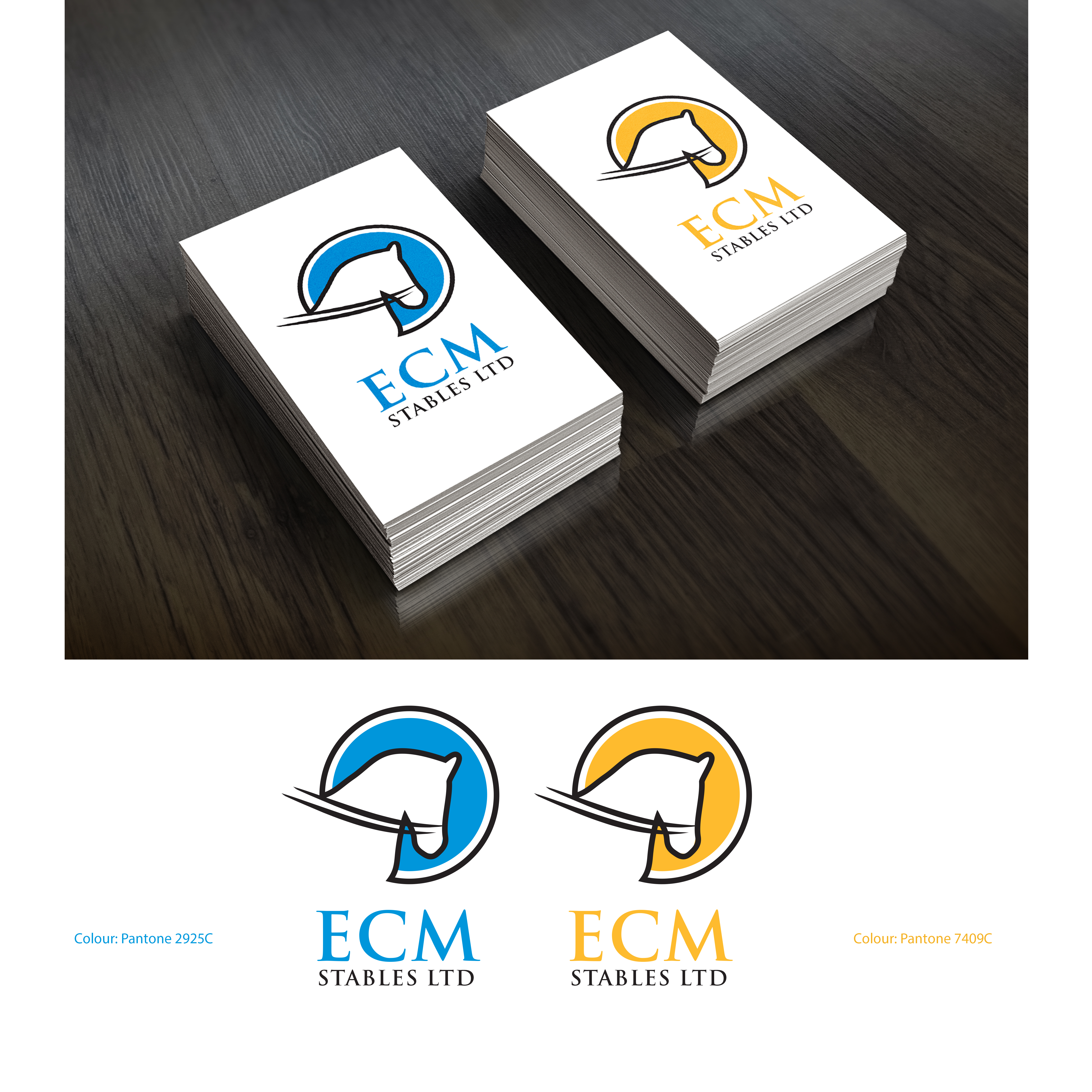 Design de Logo par see why pour ce projet | Design #27268018