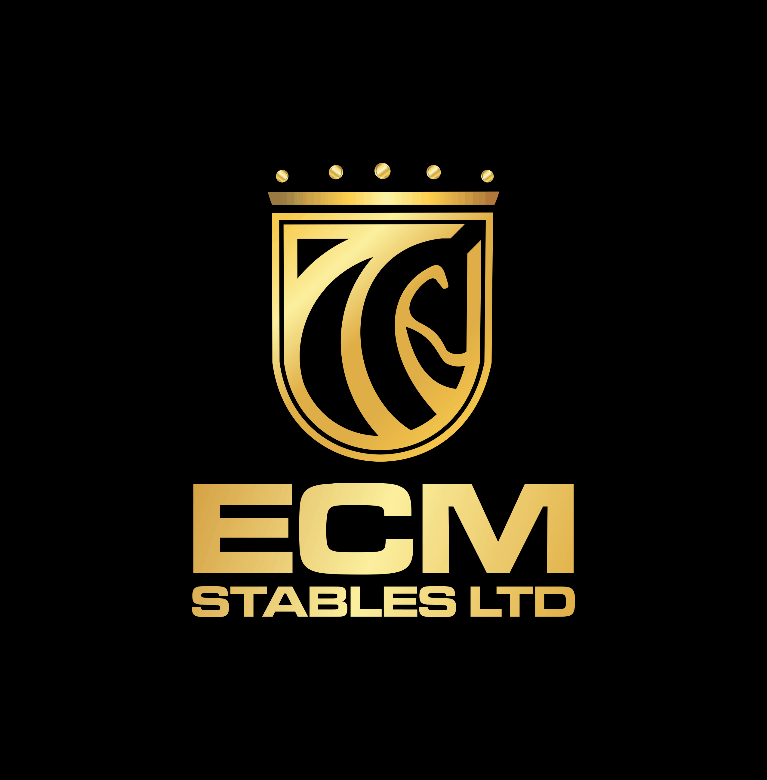 Logo Design by ERLANDO RONTE RDJ for this project | Design #27268004