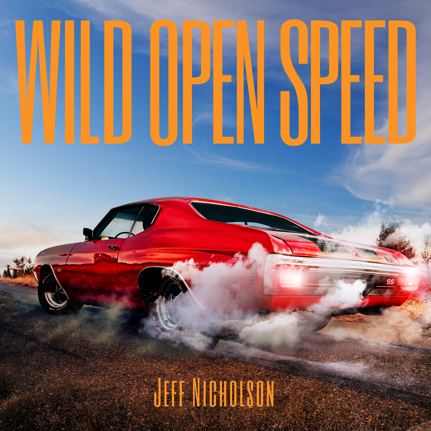 CD Cover Design by vectoradics for this project | Design #27290300