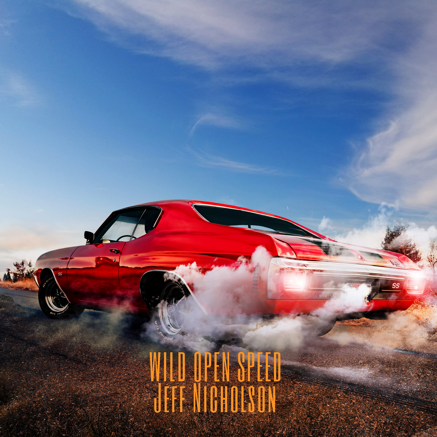 CD Cover Design by vectoradics for this project | Design #27294719