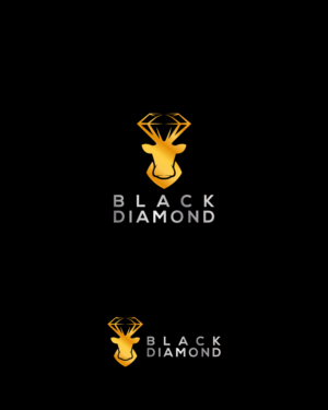 Logo Design by Ben Naveed for this project | Design: #27268873