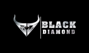 Black Diamond | Logo Design by logoQ