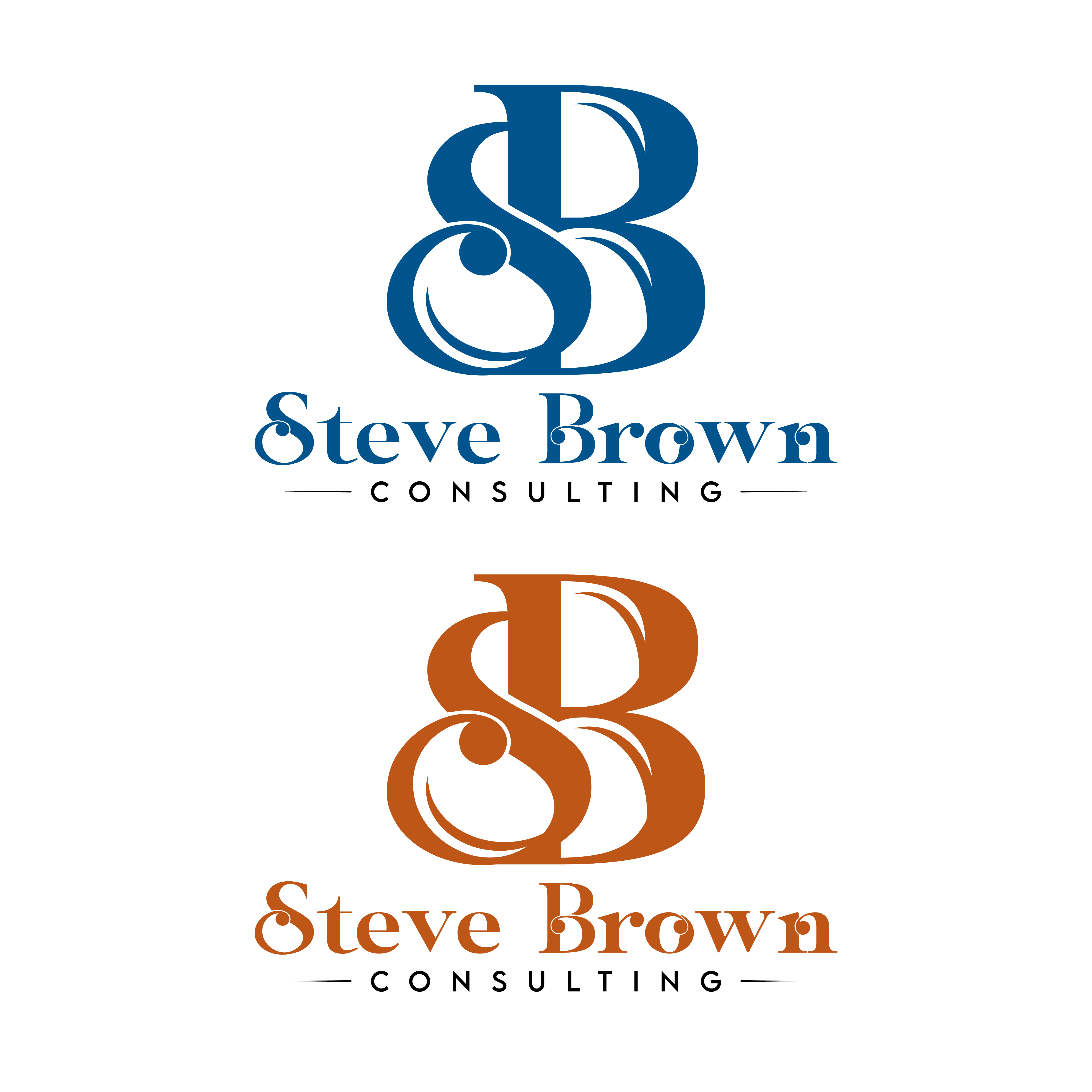 Logo Design by ARTchemist for Steve Brown Consulting, LLC | Design #27267681