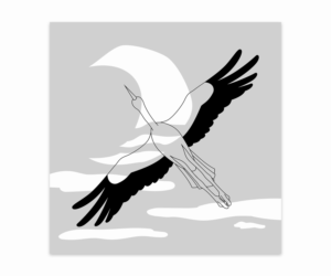 Vector Design by Emmi for this project | Design: #27288386