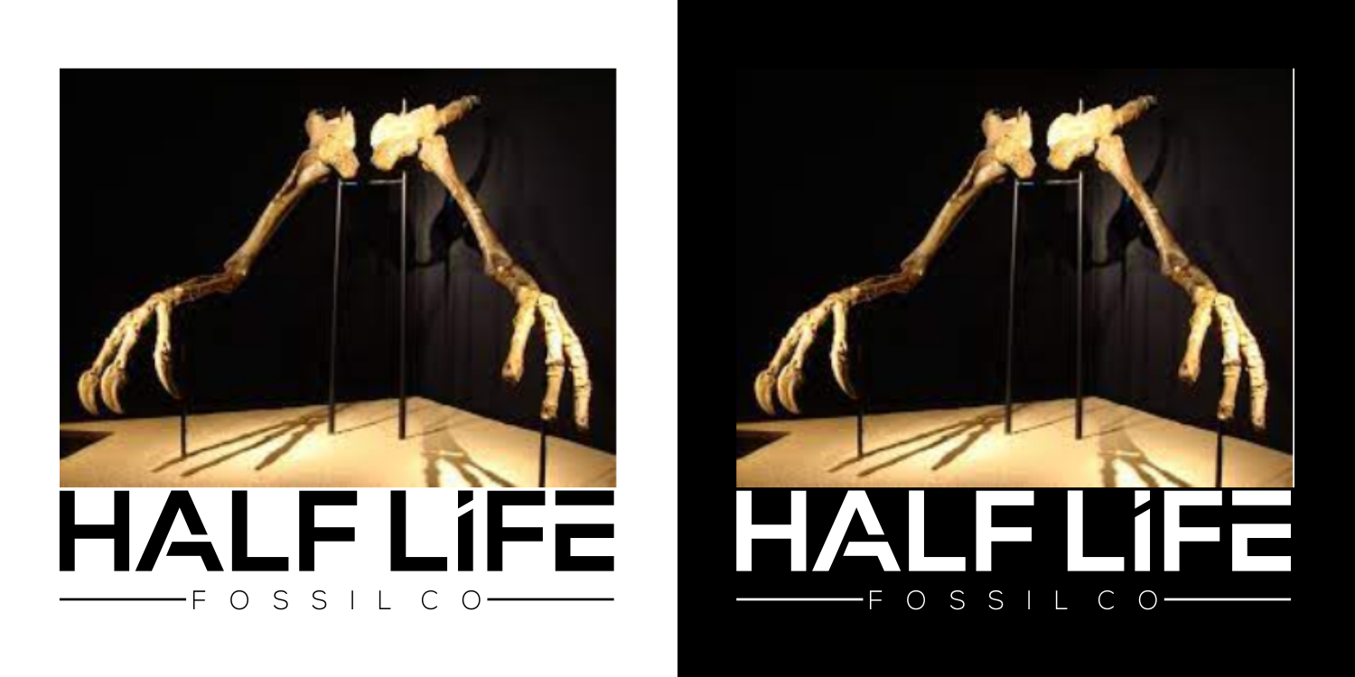 Logo Design by catrline for this project | Design #27275801