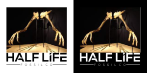 Design de Logo par catrline pour ce projet | Design : #27275801