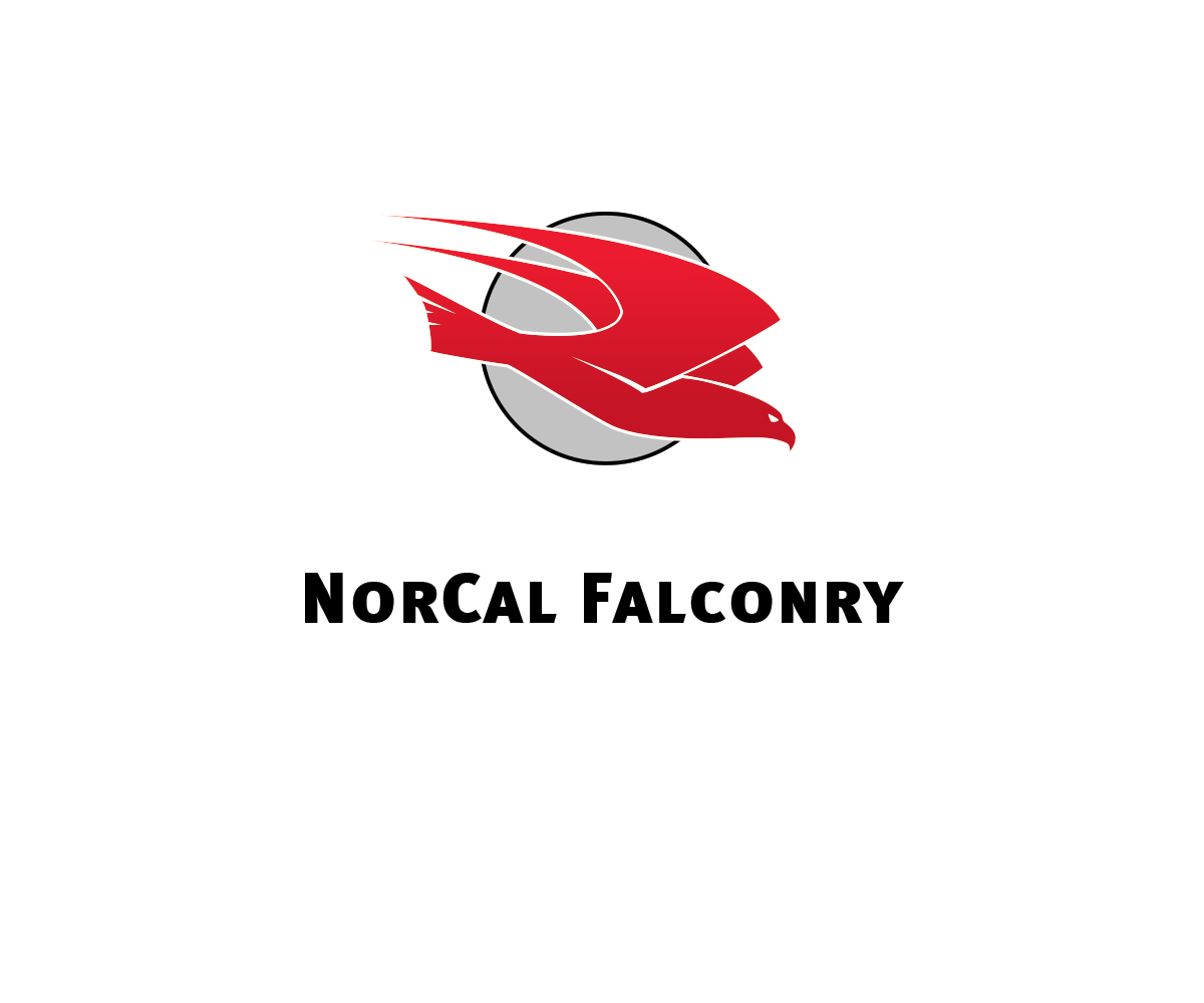 Logo Design by borzoid for this project | Design #27278513