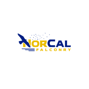 Design de Logo par Dream Logo Design pour ce projet | Design : #27281211