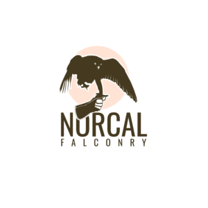 Design de Logo par Dream Logo Design pour ce projet | Design : #27281212
