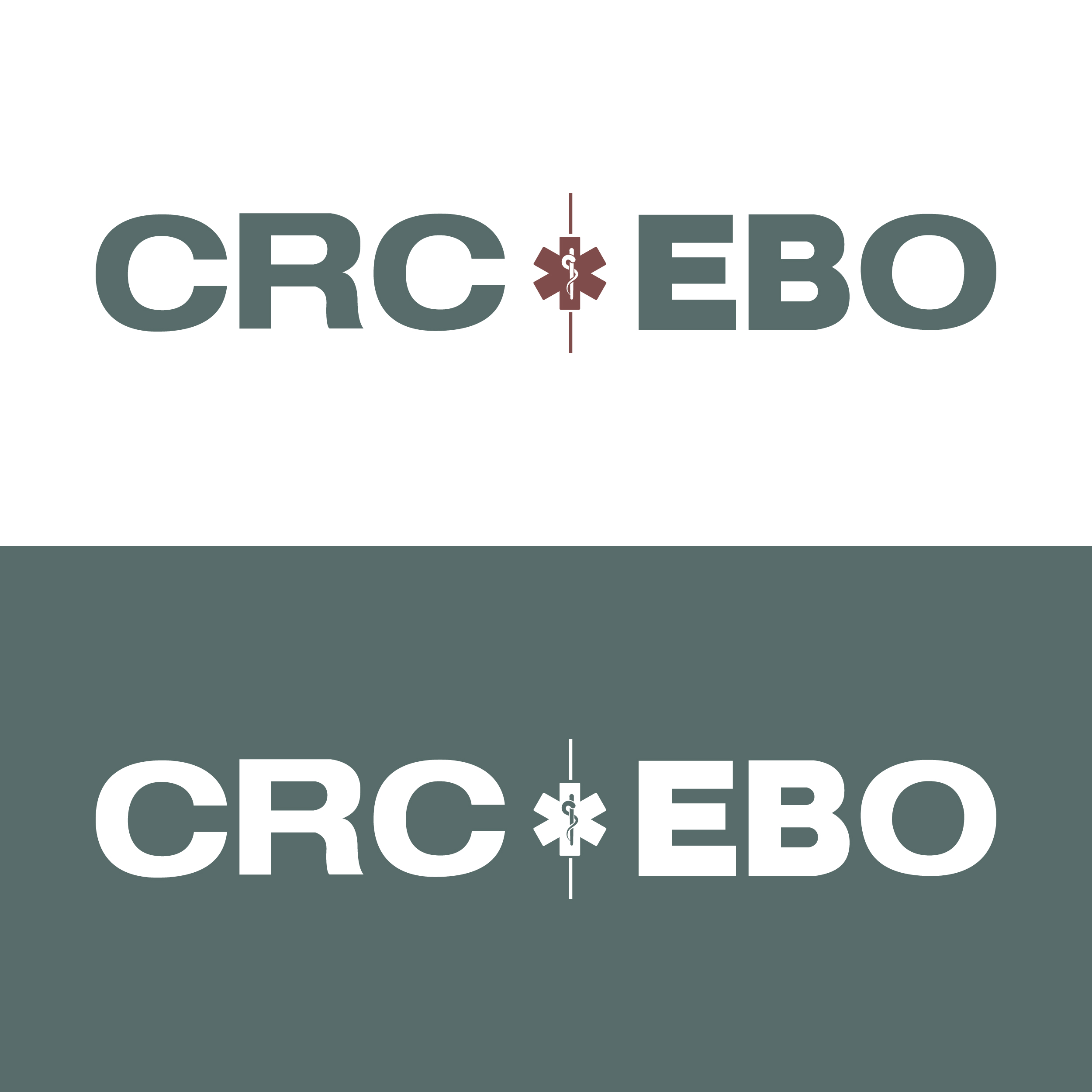 Logo Design by Yu Design for CAPITAL RECOVERY CORPORATION | Design #27285811