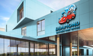 Logo Design by Wonderful design for Diamond Quality Collision | Design: #27301128