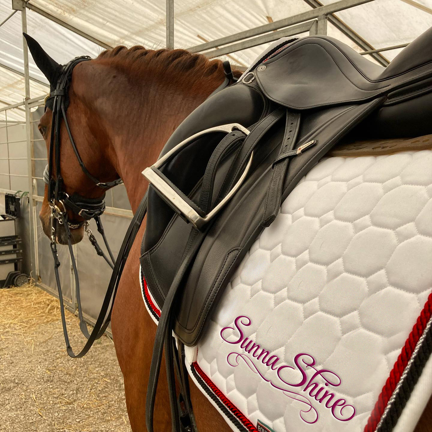 Logo Design by borzoid for this project | Design #27294650