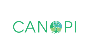 Logo Design by MT