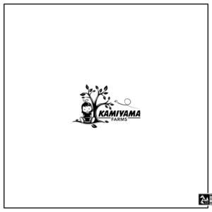 Logo Design by Origami visual for this project | Design: #27311922