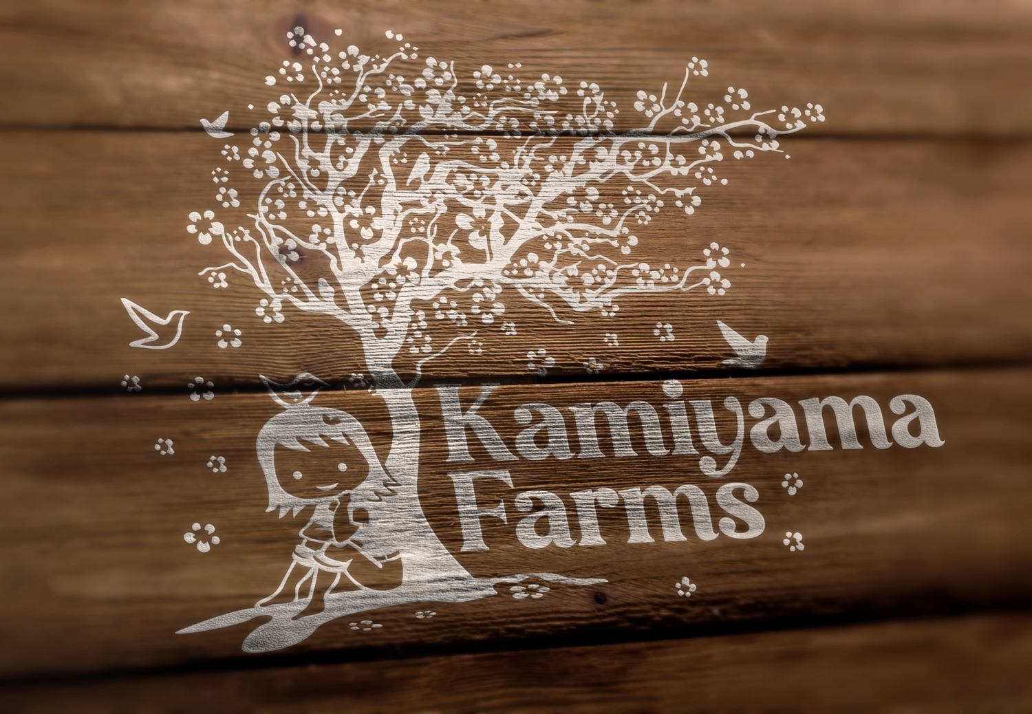 Logo Design by Mosa Abo swelem for this project | Design #27309807