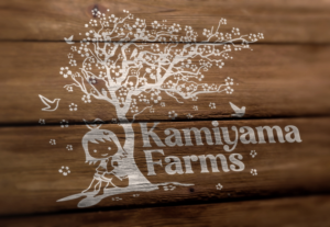 SEE DESIGN BRIEF | Logo Design by Mosa Abo swelem