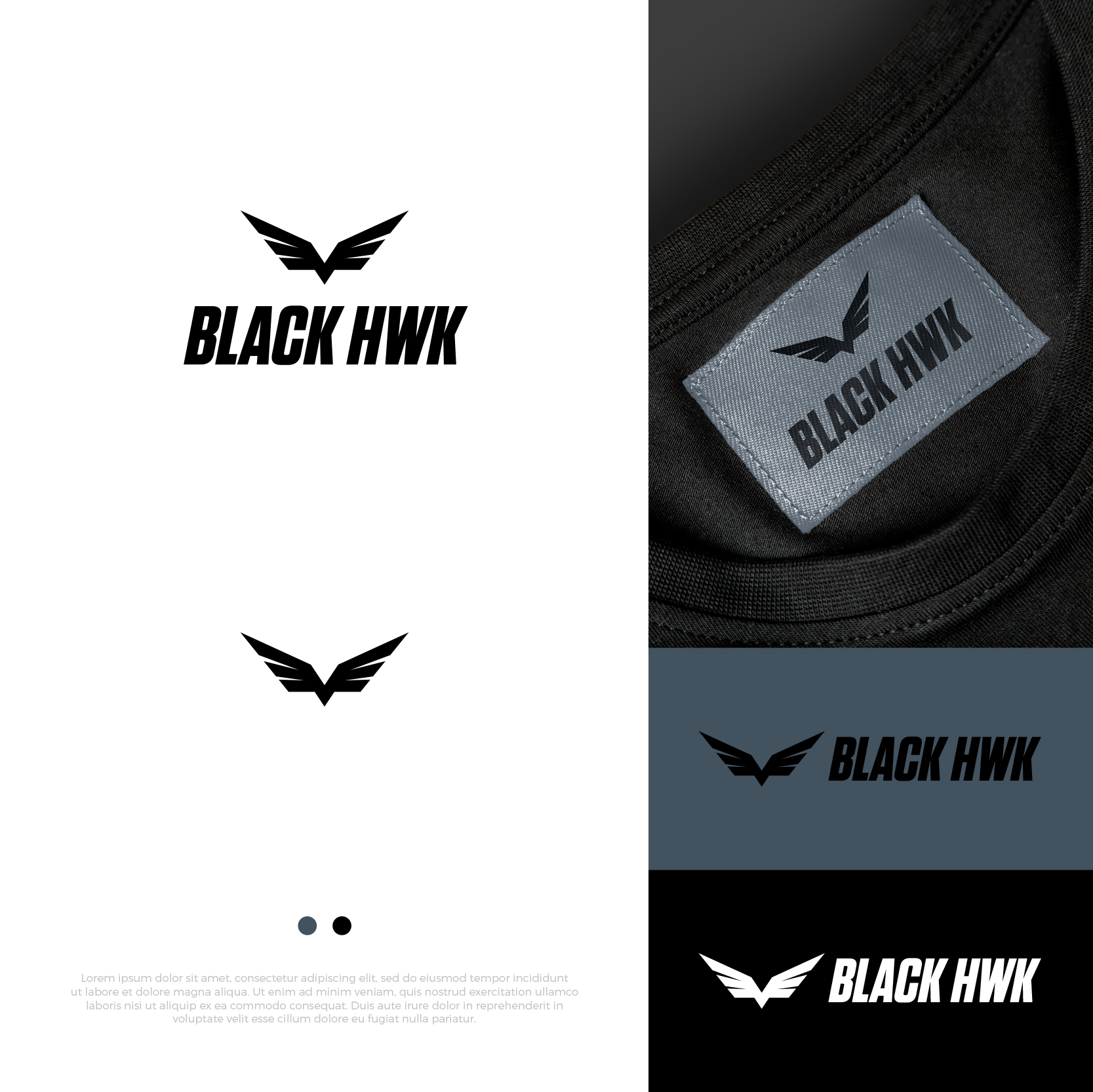 Diseño de Logo por airborne para este proyecto | Diseño #27312996