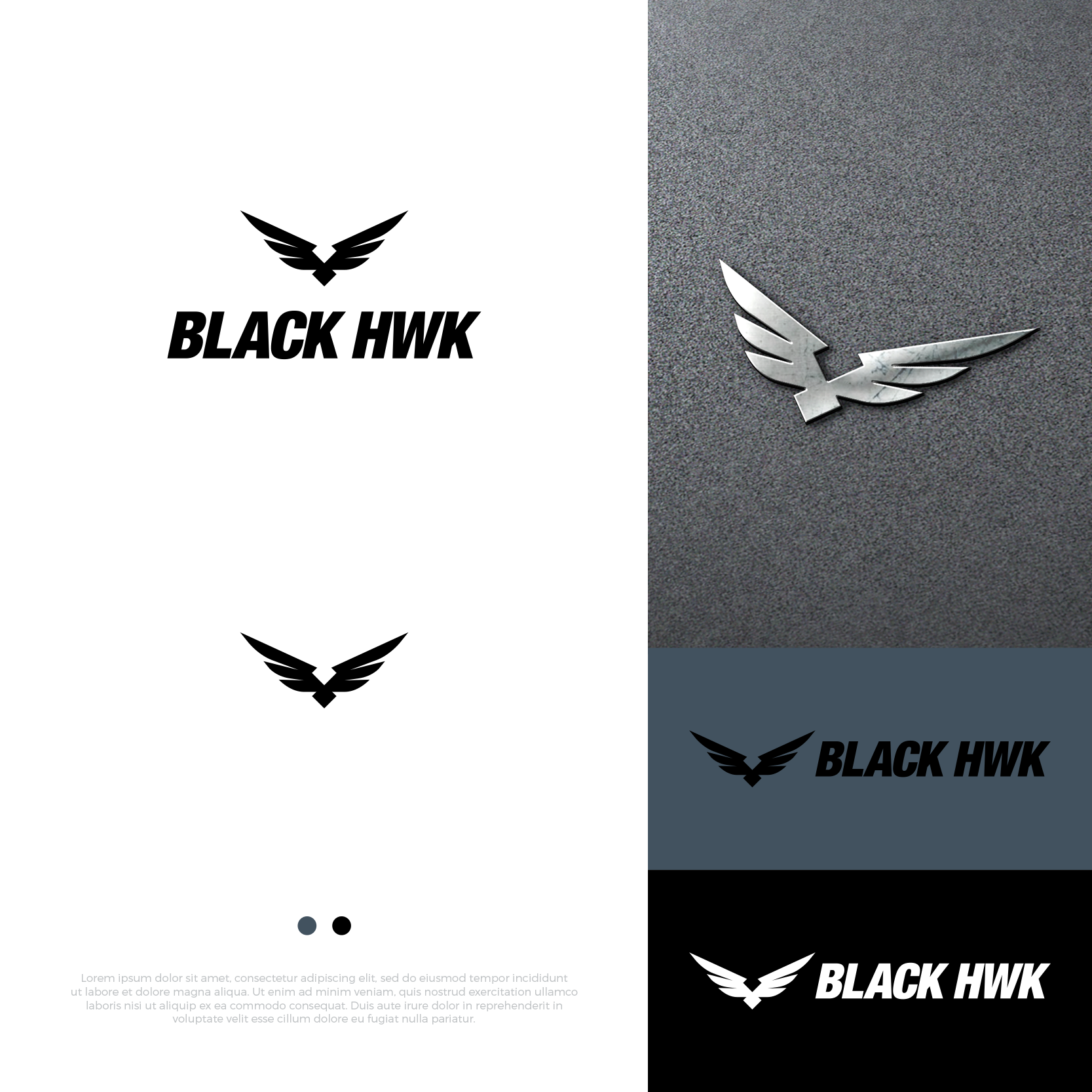 Diseño de Logo por airborne para este proyecto | Diseño #27315411