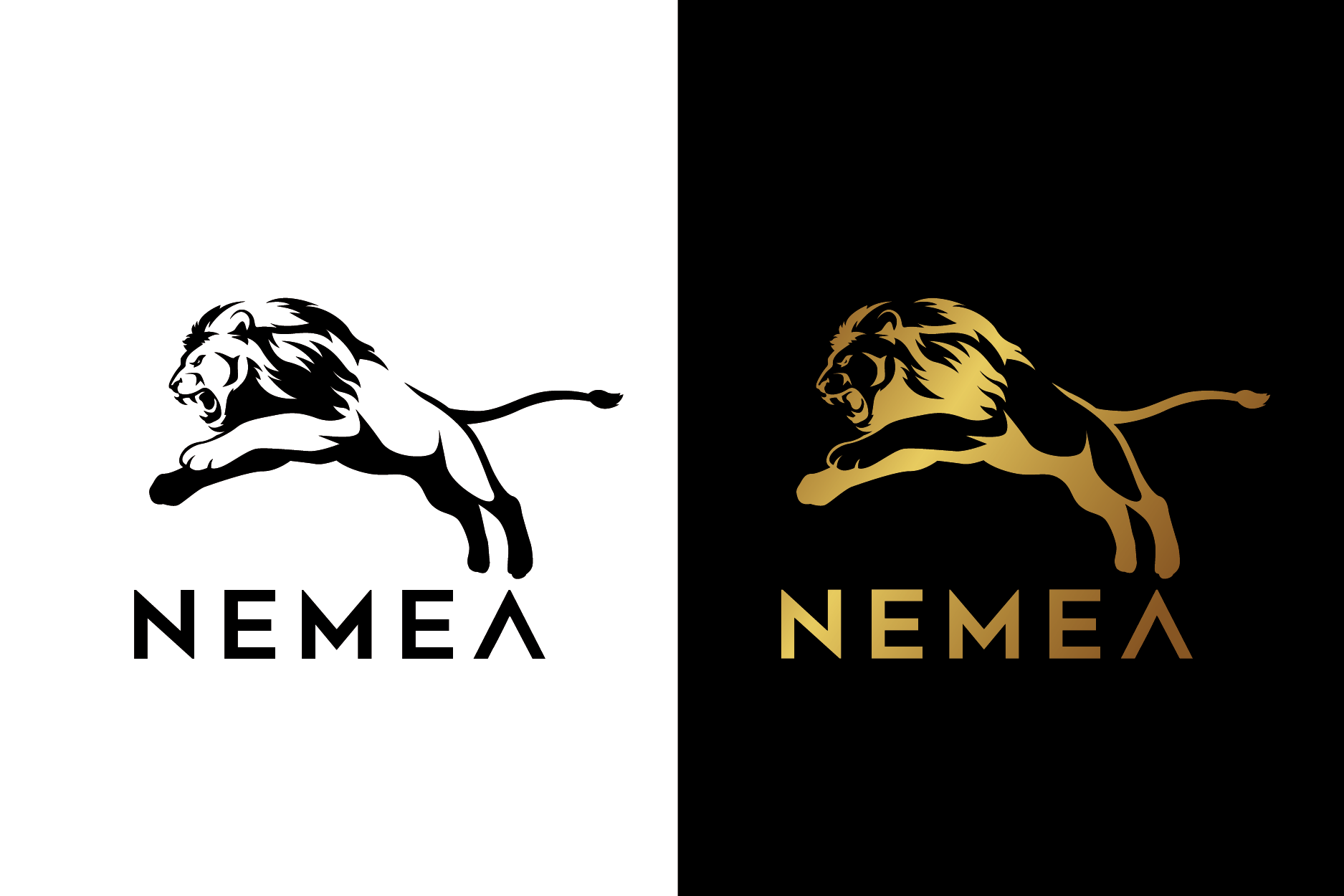 Logo Design by singhania for this project | Design #27338216