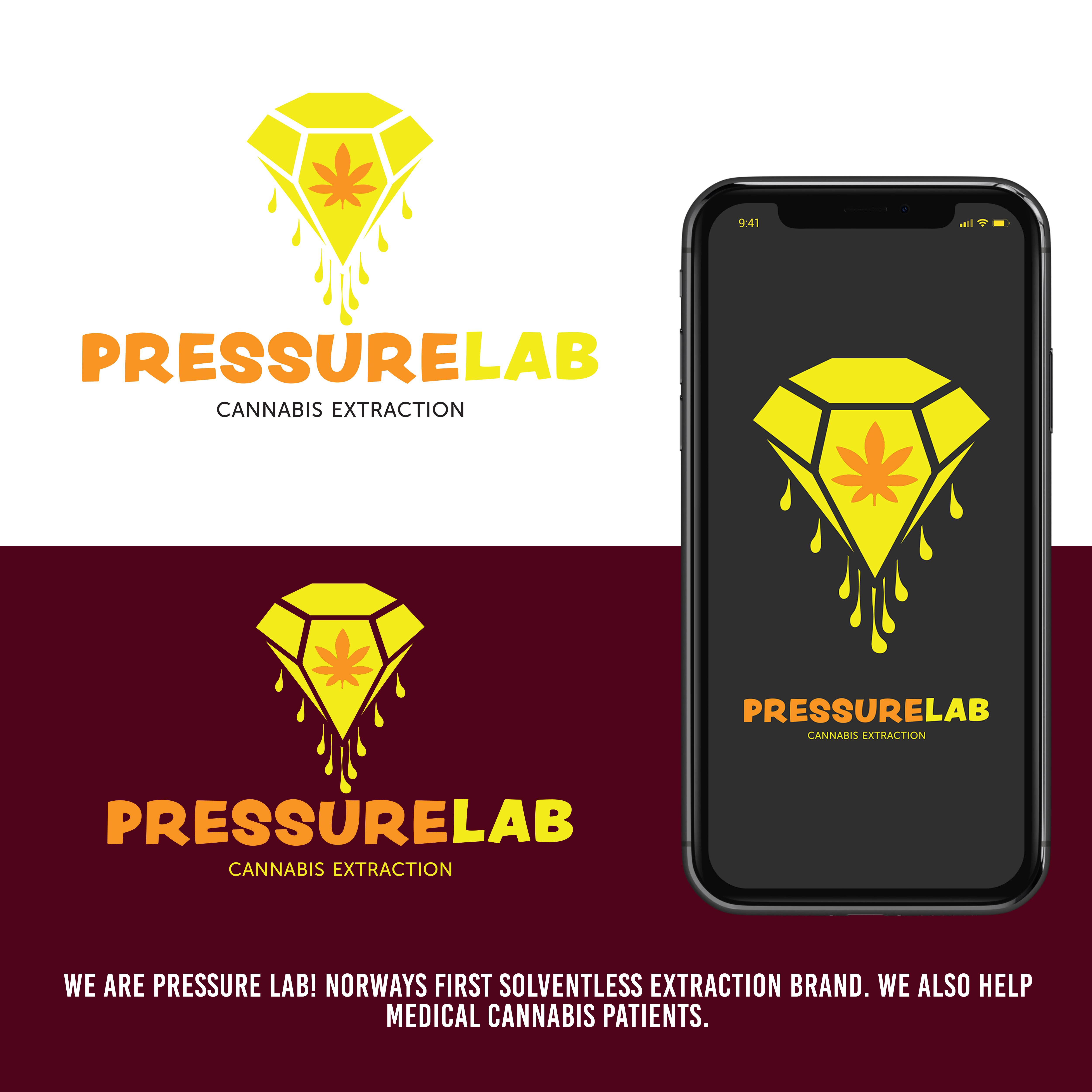 Logo Design by ILLUSTRATOR PRO for this project | Design #27346922