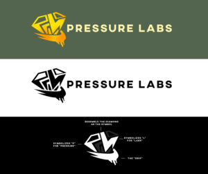 Logo Design by skzr
