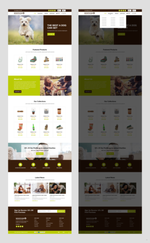 Shopify Design by pb