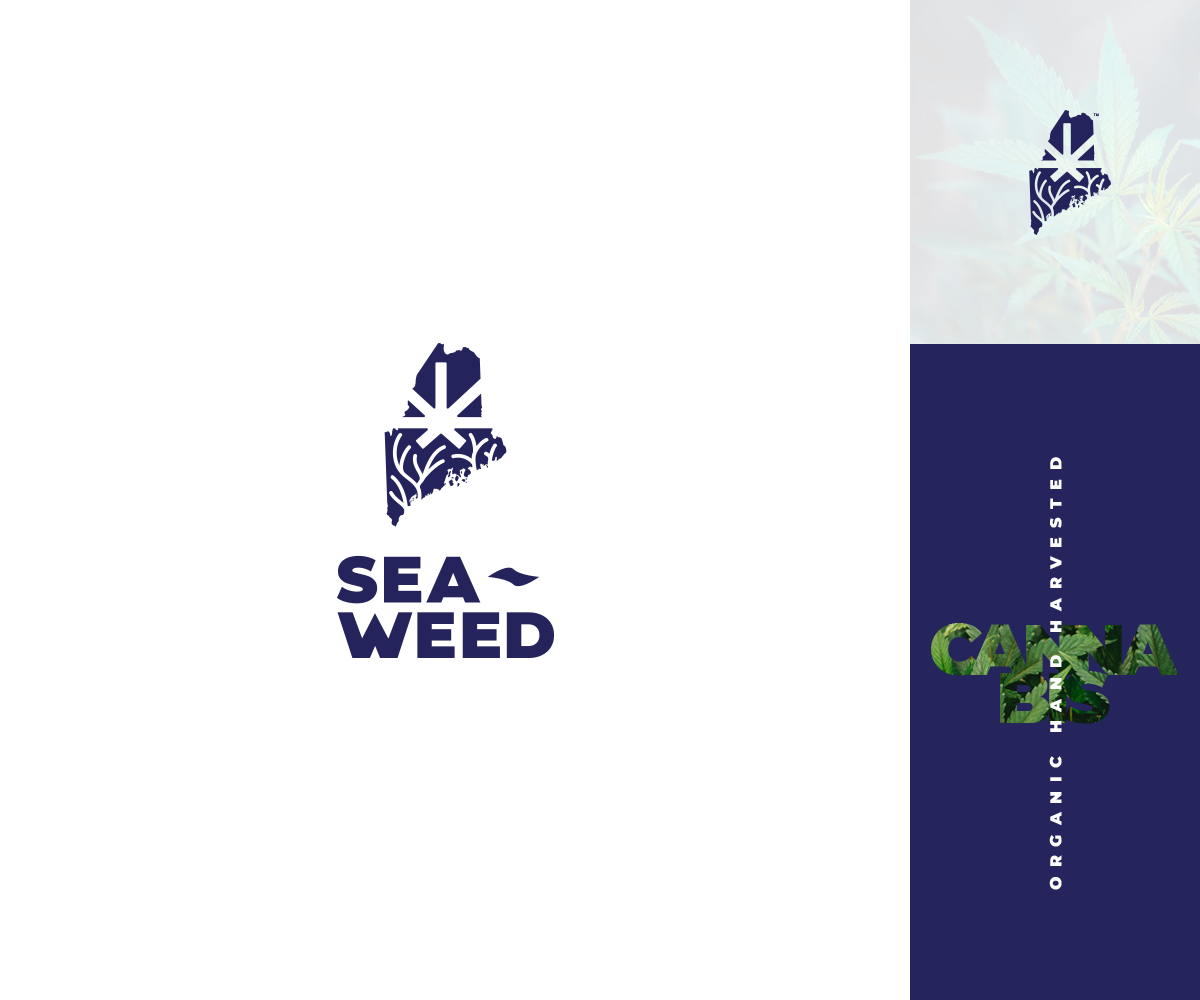 Diseño de Logo por GBDESIGN para este proyecto | Diseño #27330010