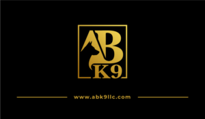 Design de Logo par anico pour ce projet | Design : #27448024