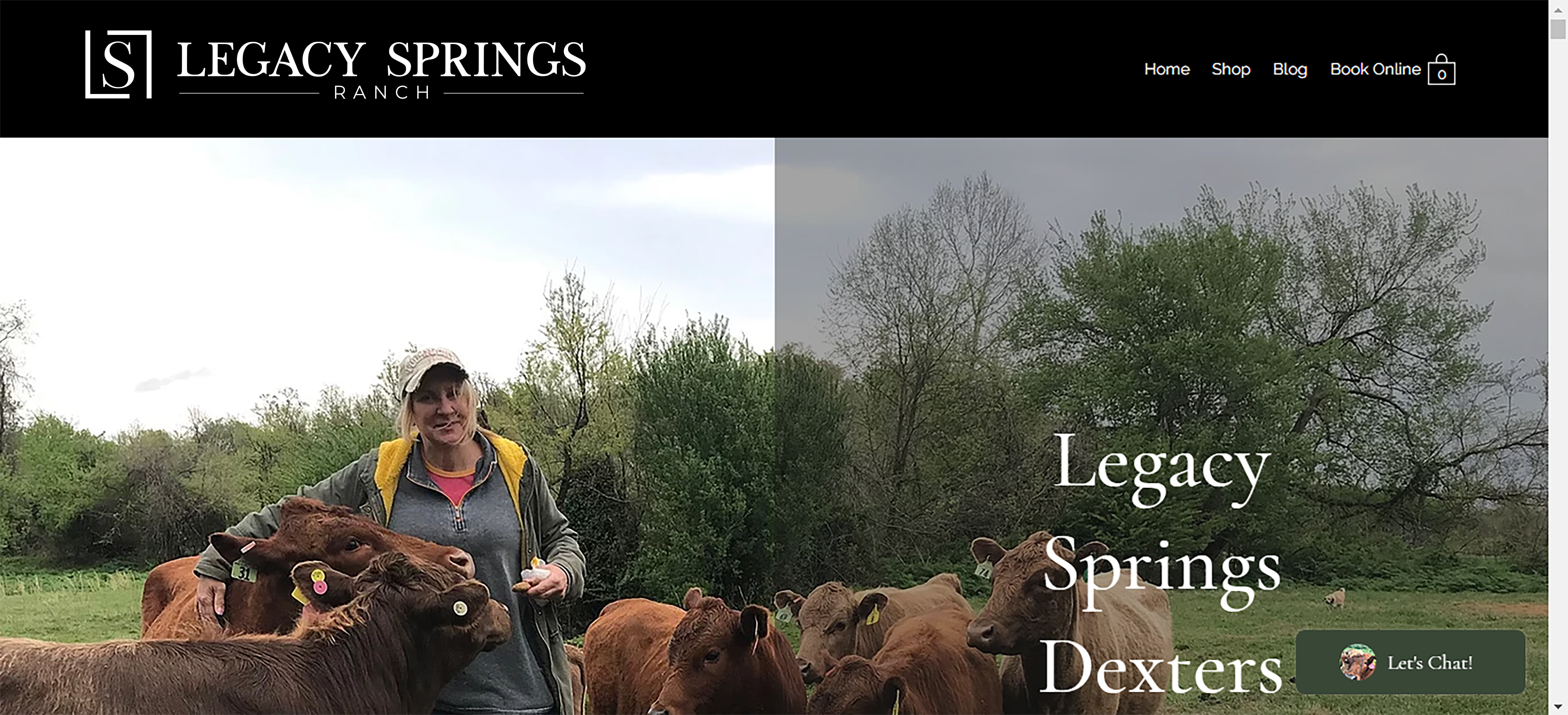 Logo Design by ILLUSTRATOR PRO for Legacy Springs Dexters LLC | Design #27334391