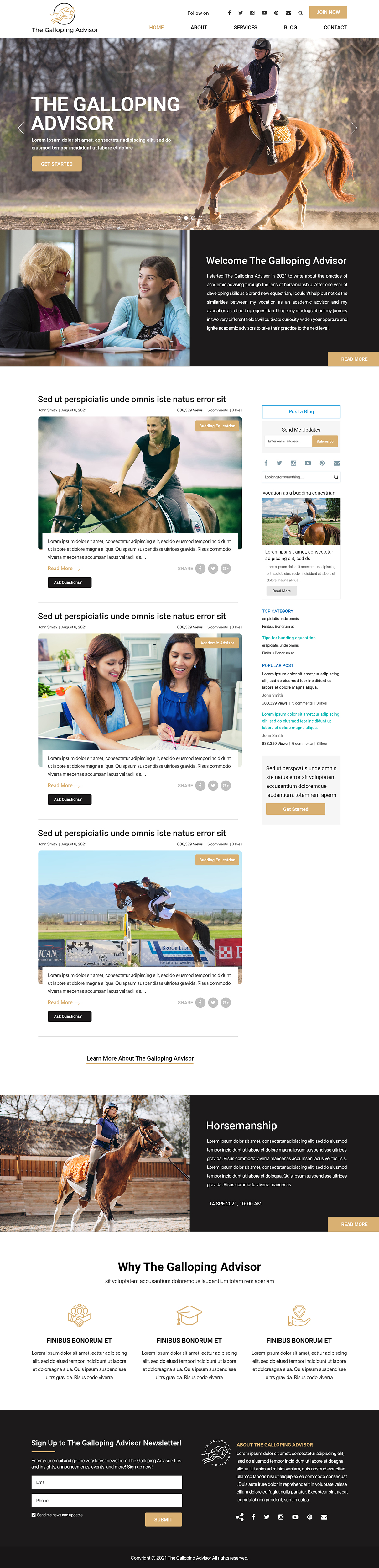 Diseño Wordpress por Titan Eagle para este proyecto | Diseño #27346882