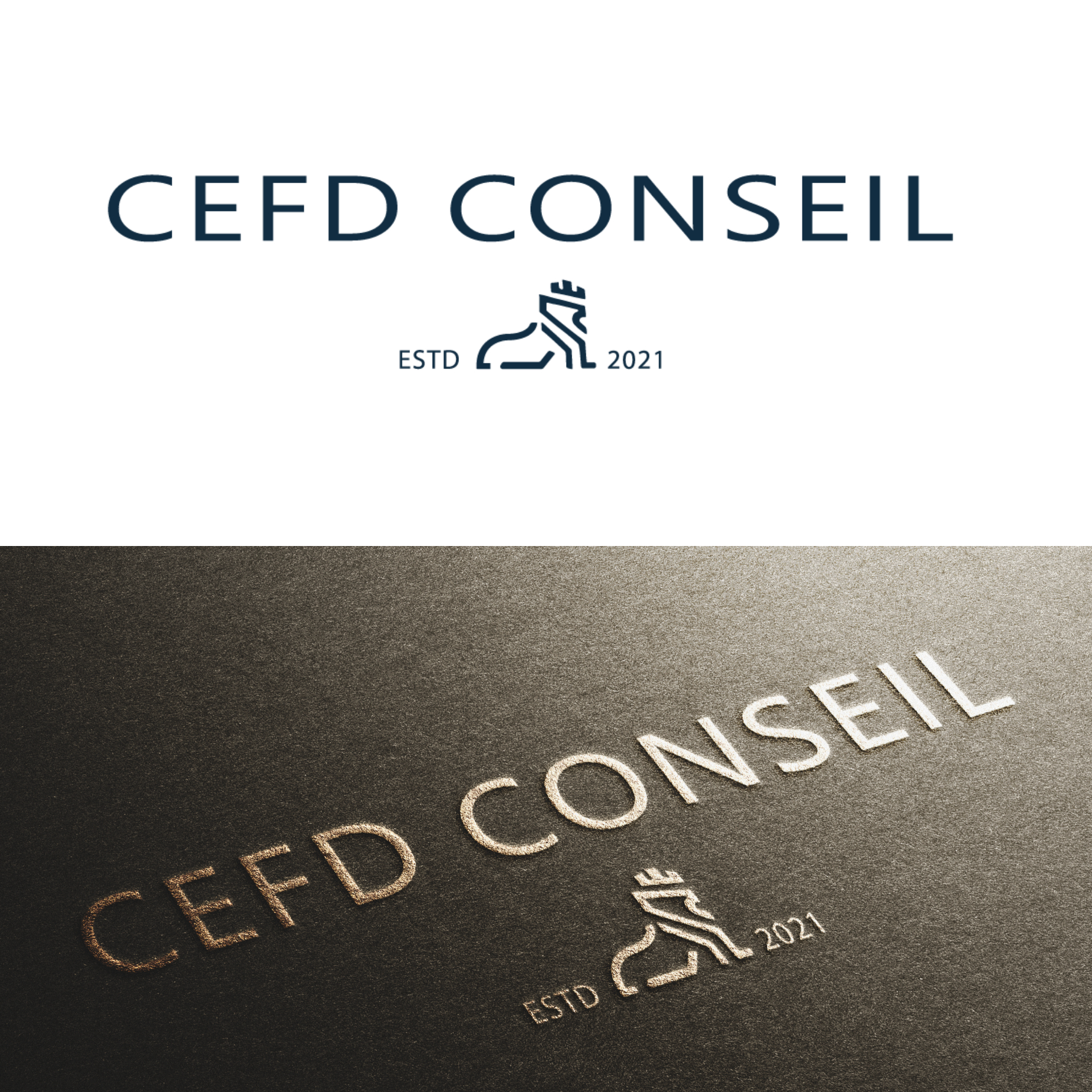 Logo Design by miloje1207 for CEFD CONSEIL | Design #27365322