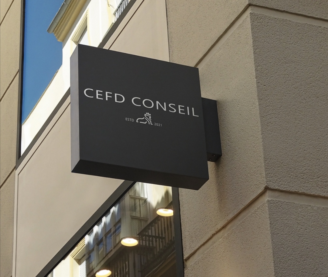 Logo Design by miloje1207 for CEFD CONSEIL | Design #27365359