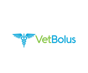 Logo Design by Thati Designs