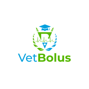 Logo Design by Dream Logo Design