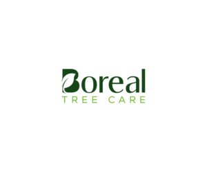 Logo Design by adobehead for Boreal Tree Care | Design #27377838