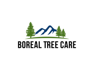 Boreal Tree Care | Diseño de Logo por BNdesigner