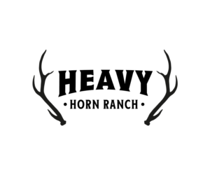 Logo Design by Andrés Sebastián