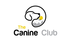 Logo Design by logoQ for this project | Design: #27367515