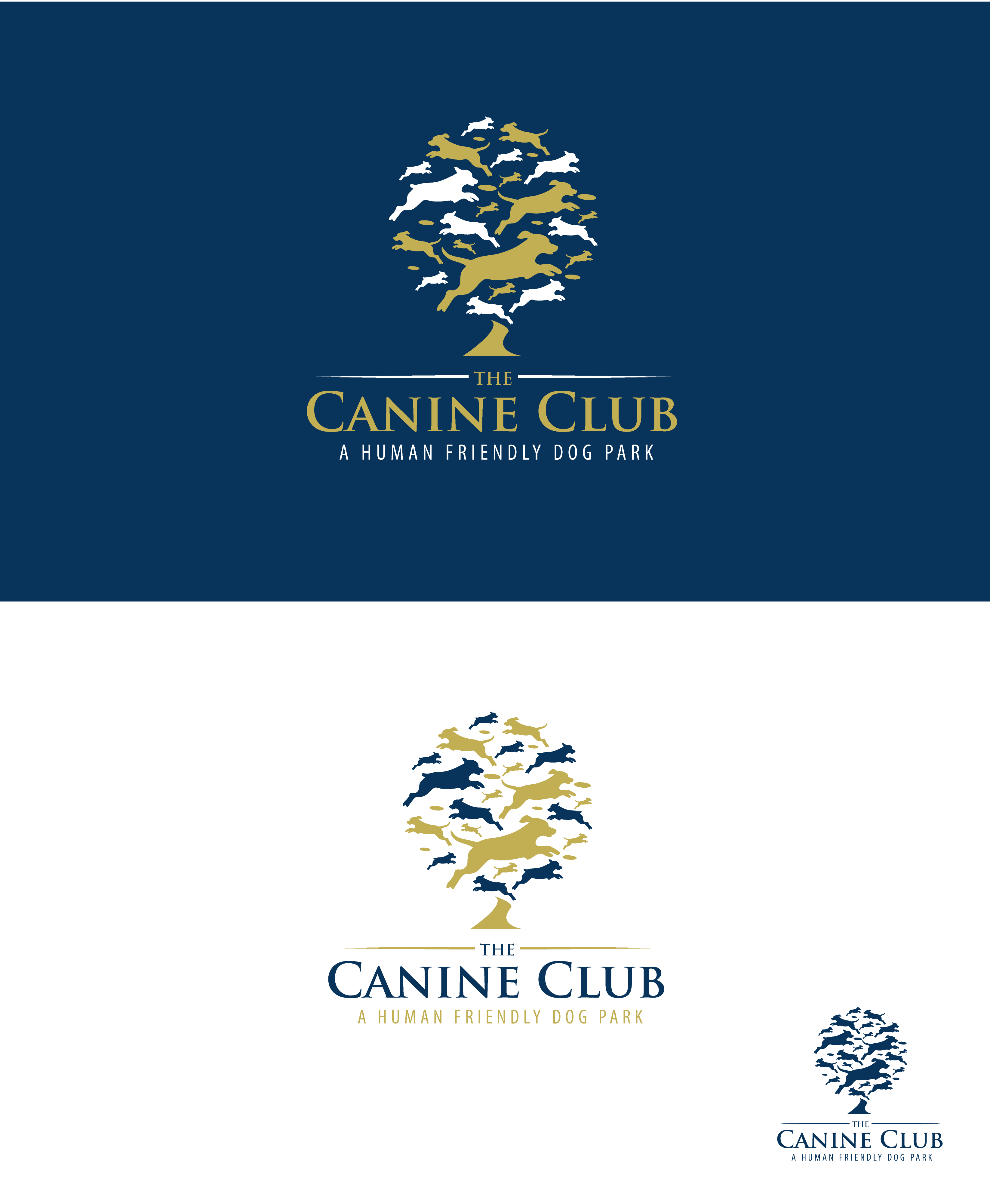 Logo Design by Taya Bright for this project | Design #27395319