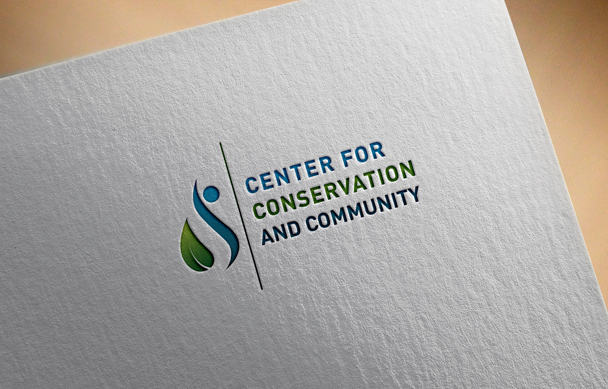 Logo Design by DesignDUO for this project | Design #27387658