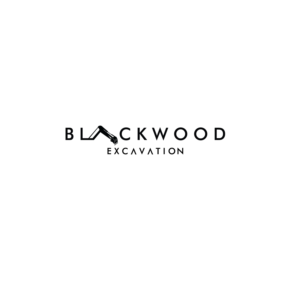Blackwood Excavation | Diseño Gráfico por emptyboxgraphics