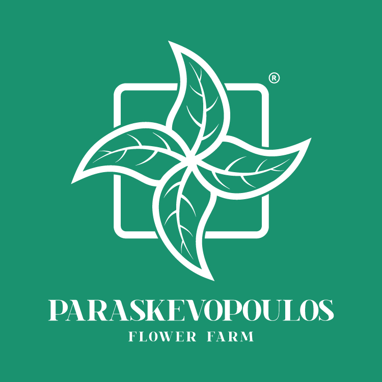 Logo Design by Abdelhadi_Bouchrouaat for pff | Design #27377699