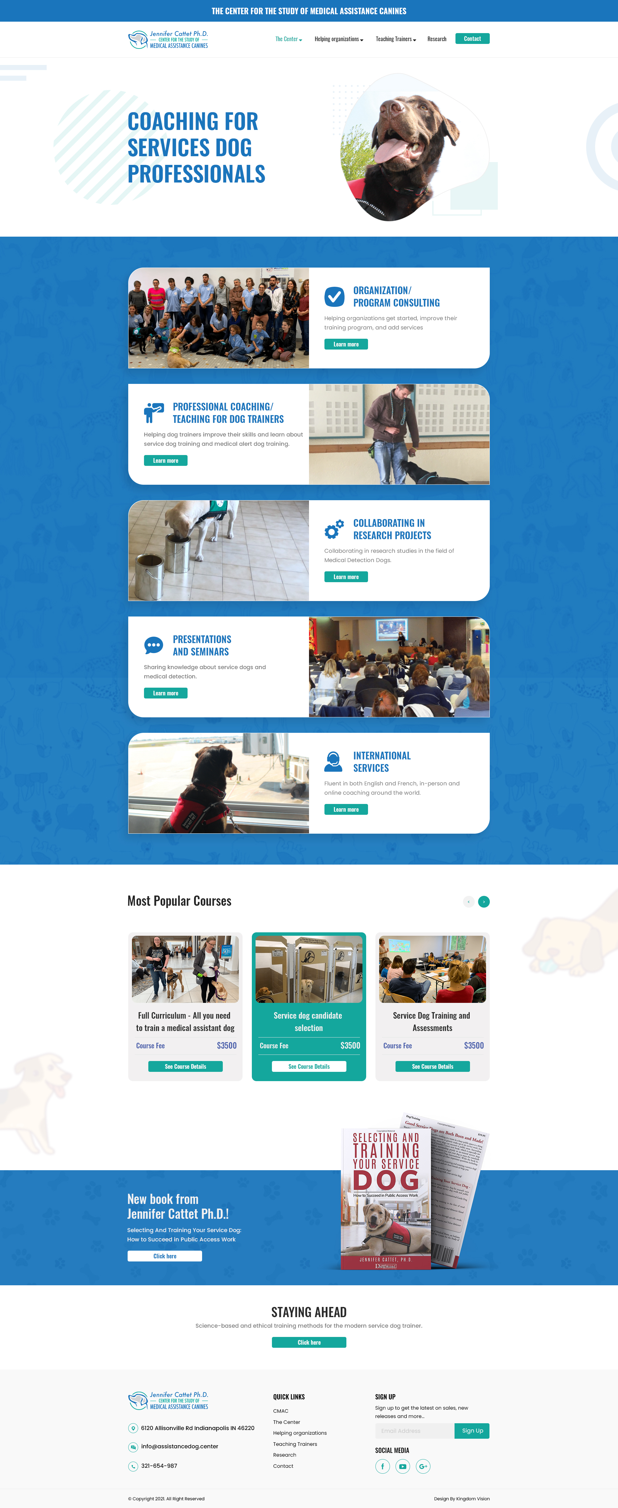 Diseño Web por Kingdom Vision para este proyecto | Diseño #27395655