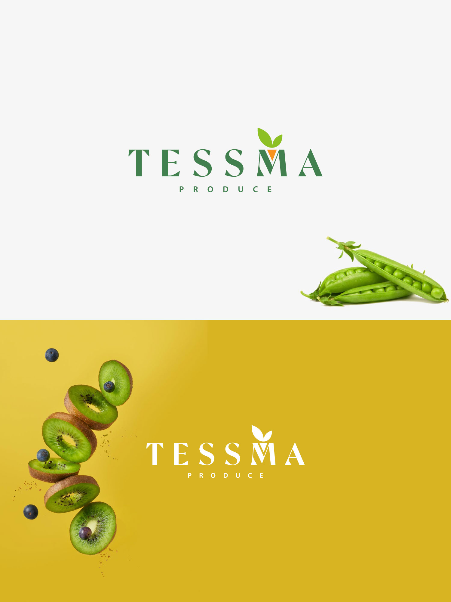 Design de Logo par Haja_H2 pour ce projet | Design #27381344