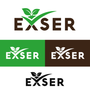 EXSER | Logo Design by Rueell Artss
