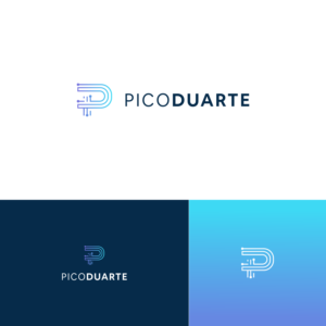 PICO DUARTE  Tu Fondo de Inversión en Crypto | Logo Design by DesignFirst