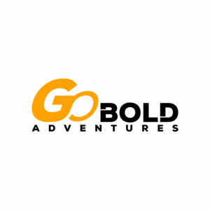Logo Design by lione