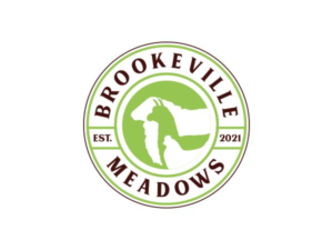 Logo Design by beard.art for this project | Design: #27415292