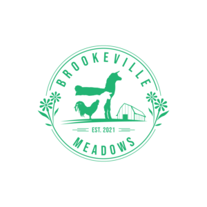 Design de Logo par Dream Logo Design pour ce projet | Design : #27396079